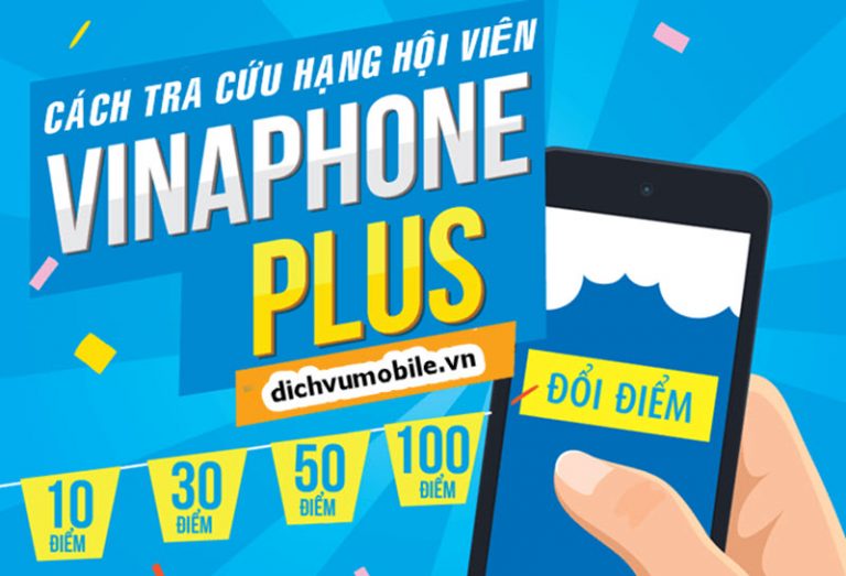 cach-tra-cuu-hang-hoi-vien-vinaphone-plus