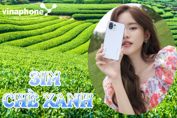 hoa-mang-sim-che-xanh-vinaphone-tan-huong-con-loc-uu-dai