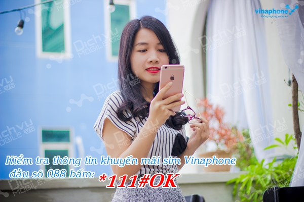 Kiểm tra các thông tin khuyến mãi của sim 088 Vinaphone thật đơn giản