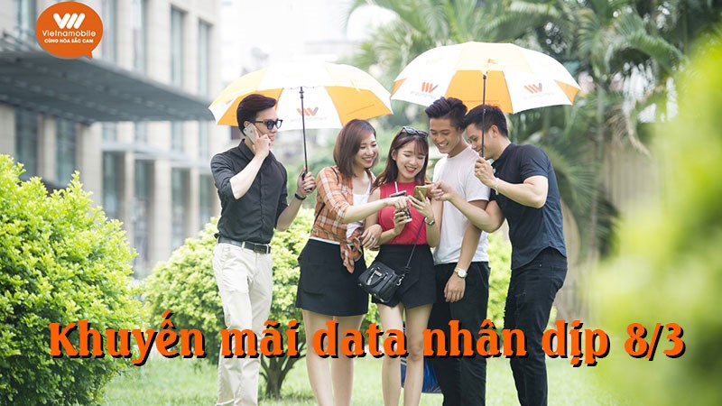 Truy cập internet mọi lúc mọi nơi không ngại cước phí với gói Happy Women mạng Vietnamobile