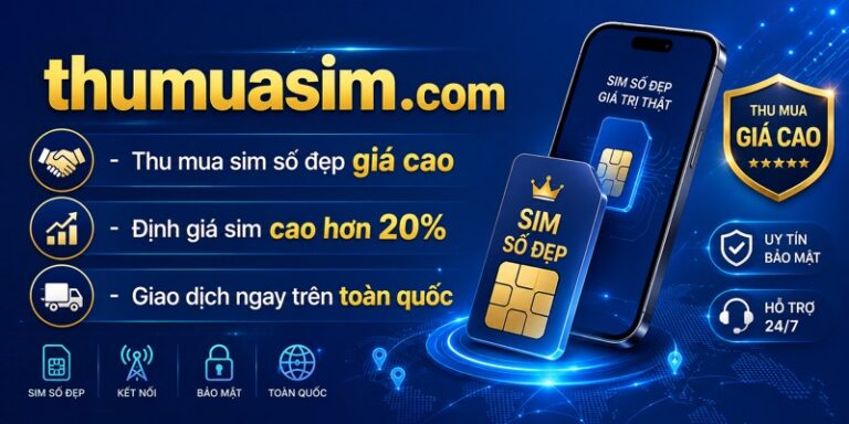 thumuasim-so-dep-gia-cao
