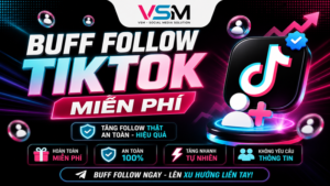 Buff follow Tiktok VSM
